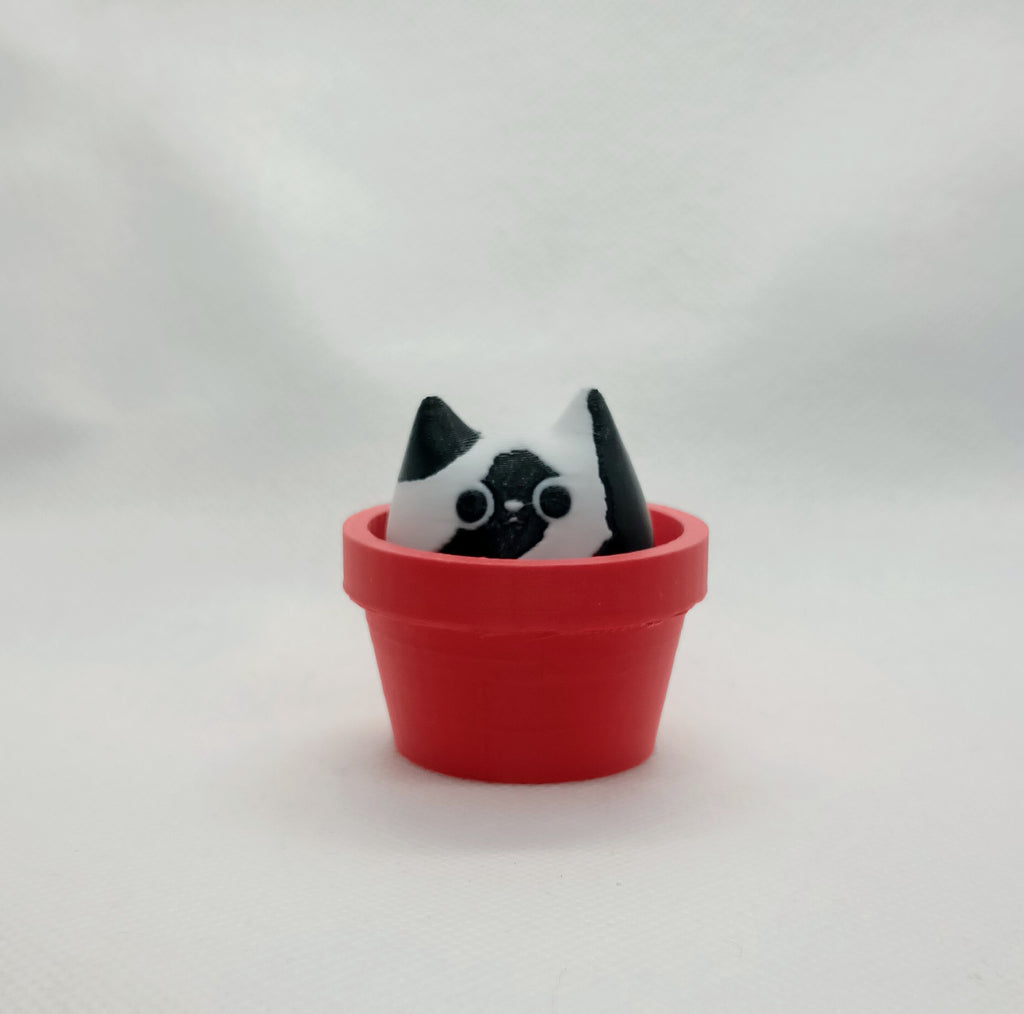 Cat Clicker