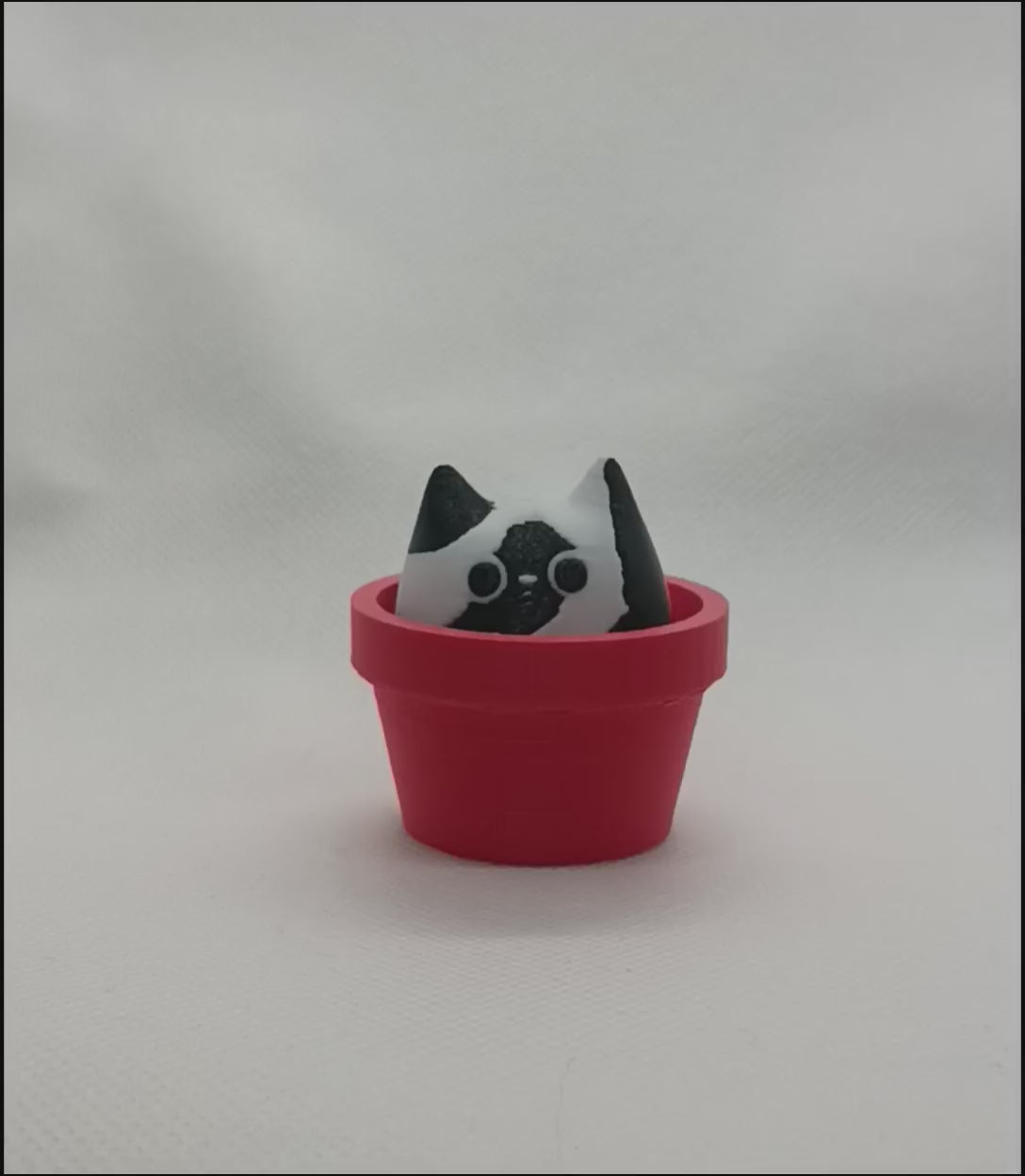 Cat Clicker
