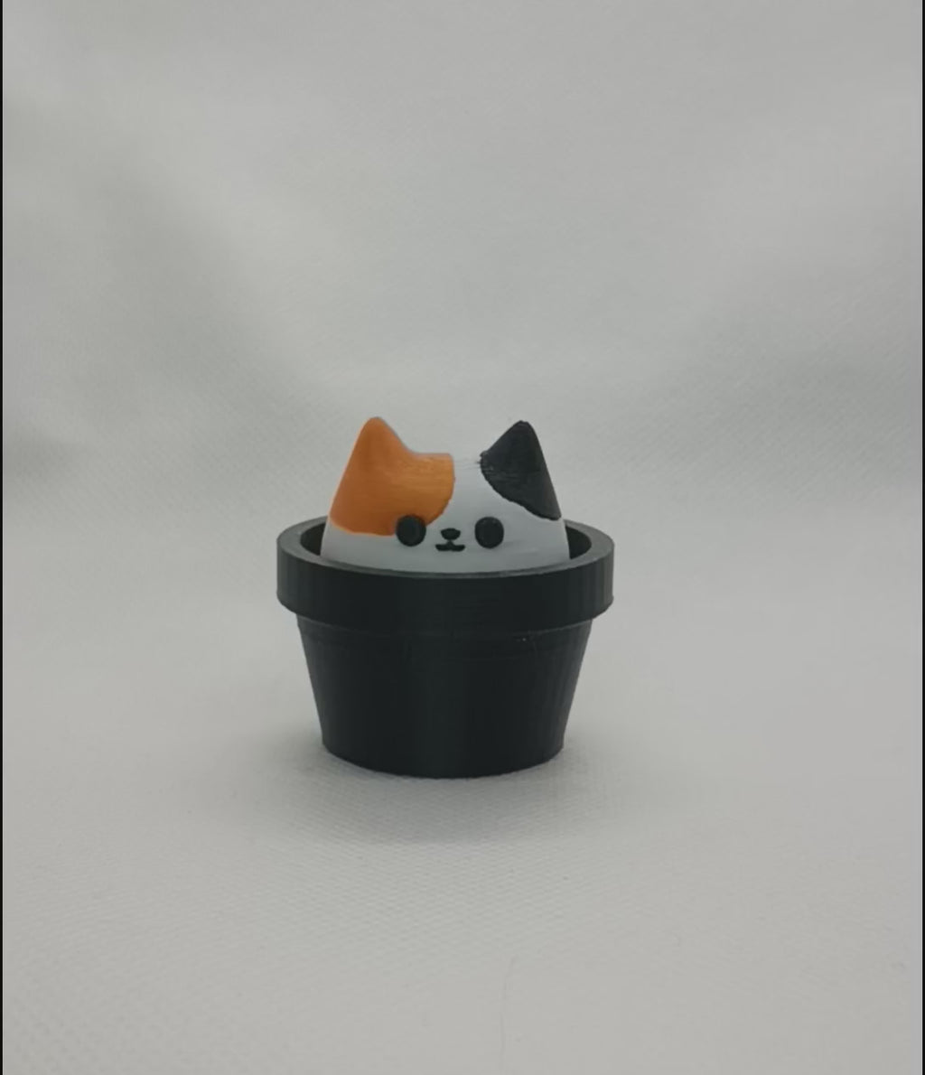 Cat Clicker
