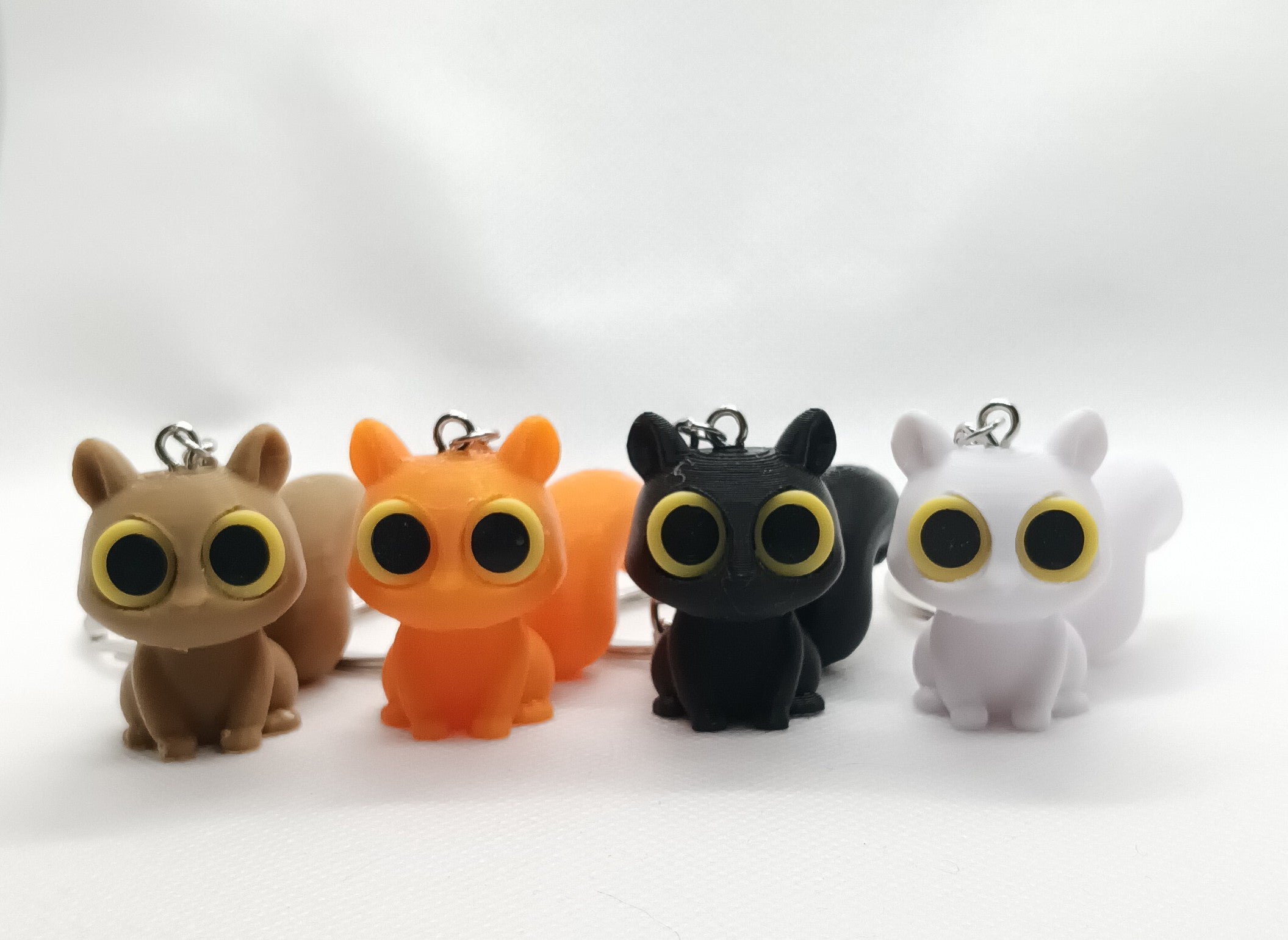 Stary-eyes Squirrel
