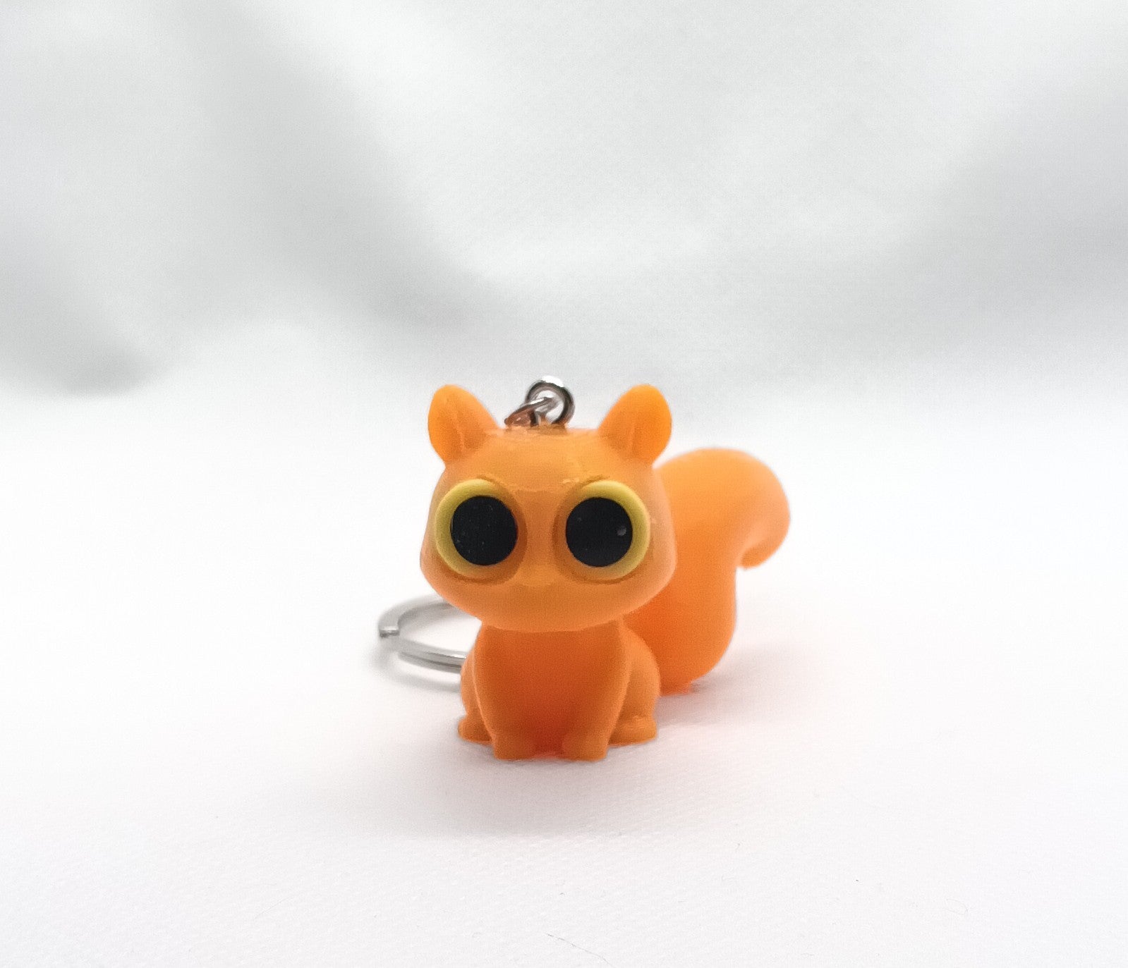 Stary-eyes Squirrel