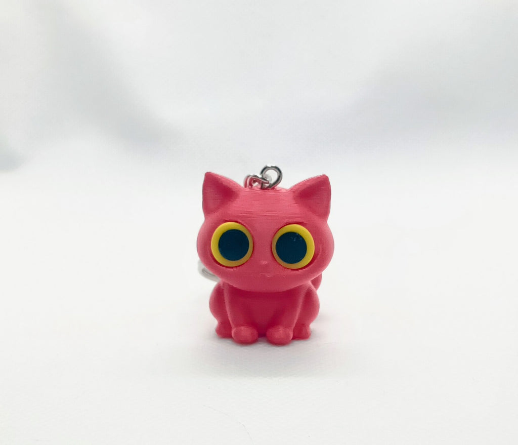 Stary-eyes Cat