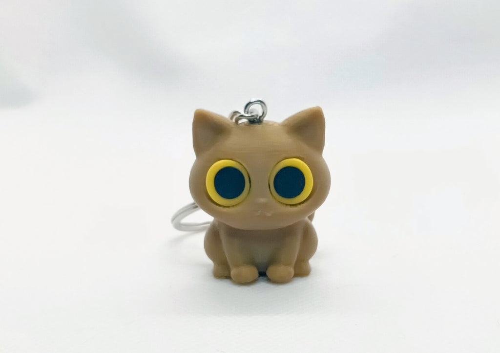 Stary-eyes Cat
