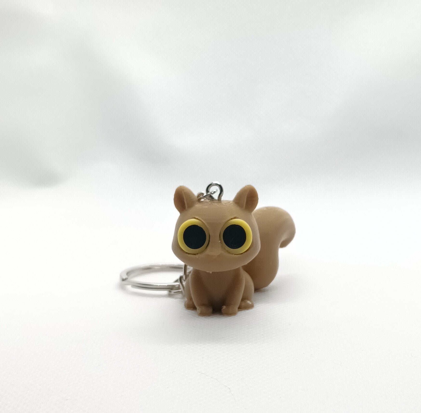 Stary-eyes Squirrel